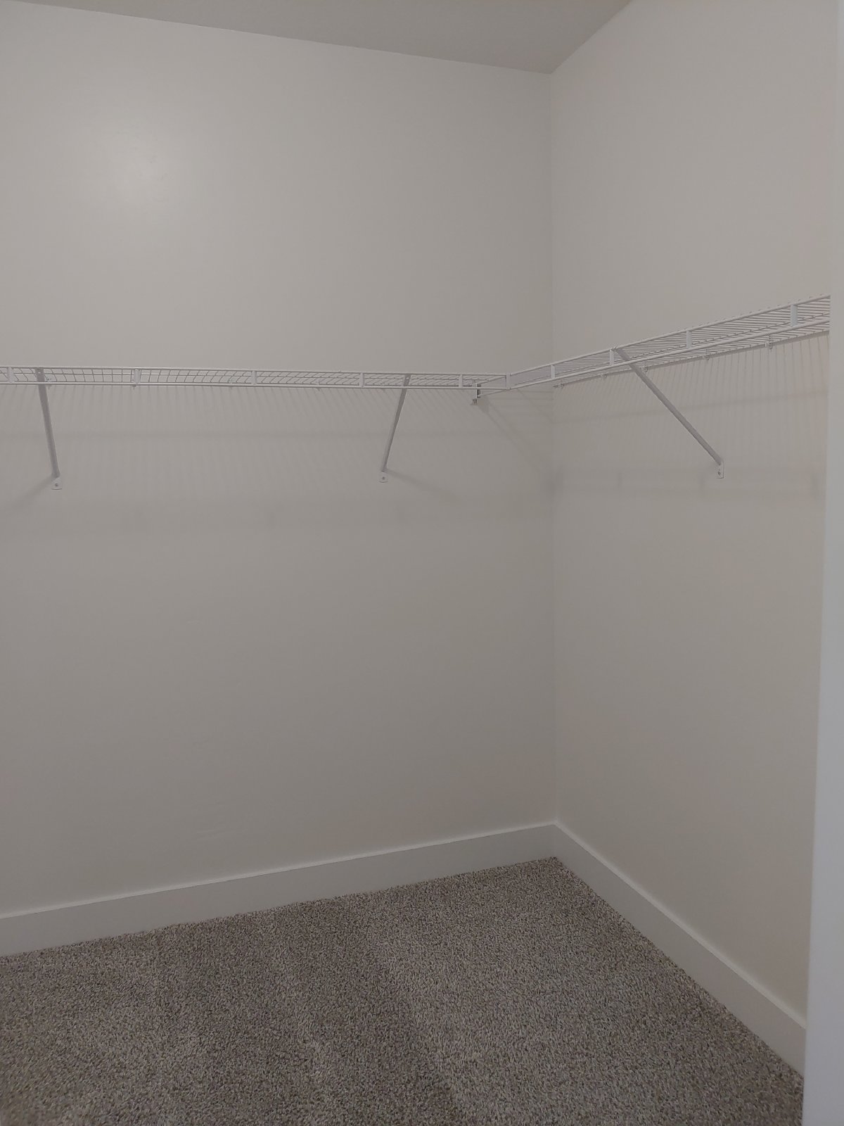 1816 W Eaglewood Dr - P303 - P303 property image